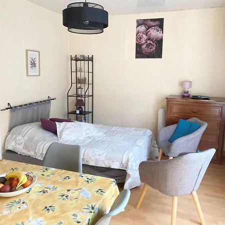 Appartement Avec Balcon Et Parking à Amélie-les-bains - Fr-1-703-204